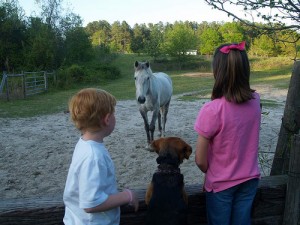 South Carolina horse greets kids (courtesy hdport at Flickr CC)