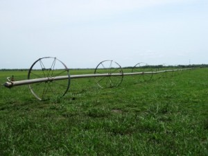 Texas agricultural equipment; don't know what it is but I like it (photo by Sheila Scarborough)