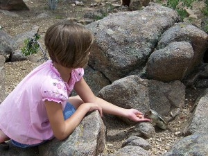 Colorado - feeding chipmunks at Estes Park Aerial Tramway (courtesy Sarah Page)