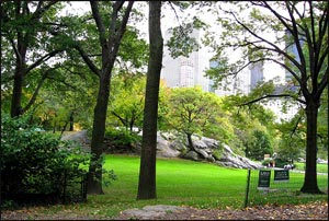 octobernewyork