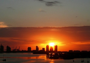 miami-nov-10