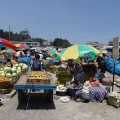 Exploring the Markets in Latin America