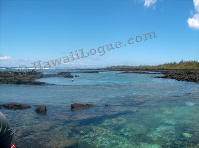 kapoho tidepools picture