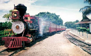 sugarcanetrain