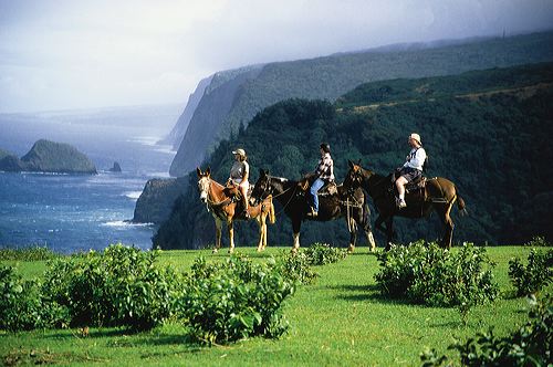 horsebackhawaii.jpg