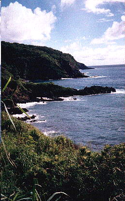 kaupo.jpg