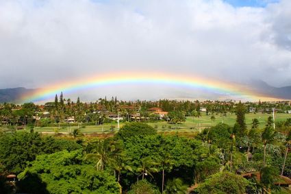 lahaina1