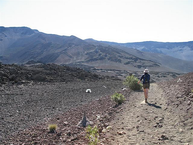 hiker