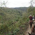 Finca El Cisne