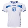 Supporting Honduras at the 2010 World Cup