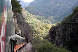 Copper Canyon 