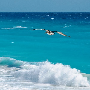 october-in-cancun