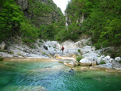 matacanes