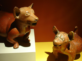 rsz_museo_regional_de_gdl_by_donarturo