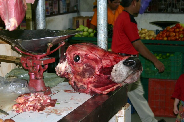 Cancun article-Mercado