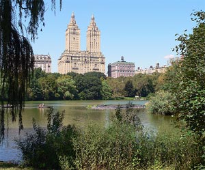 Central Park NYC