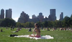 Central Park sunbather