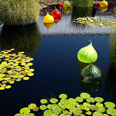 bronx-botanical-garden-pond-green