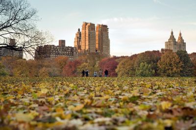 newyorkfall