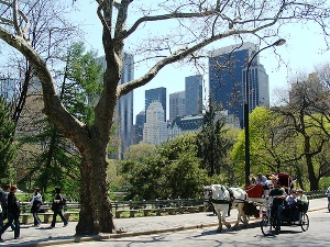 new-york-central-park