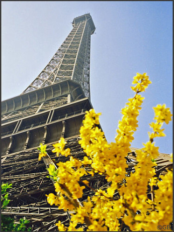 tower