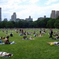 New York in May