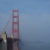 Should you visit San Francisco in winter? Why, yes.