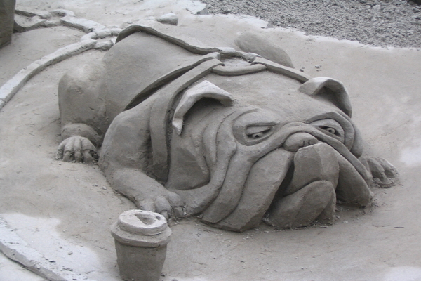 sand dog