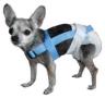 Dog Diapers