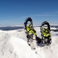 snowshoes