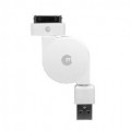 iPad Sync Cable