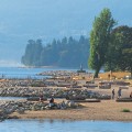 Vancouver Neighbourhoods: The West End