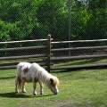 Things to do in Victoria